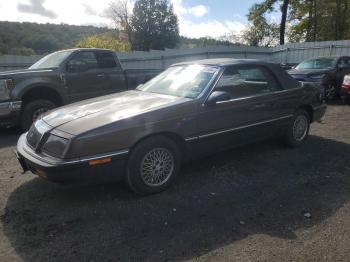  Salvage Chrysler Lebaron