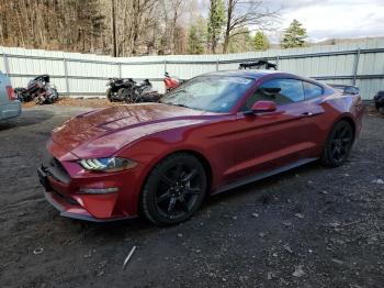  Salvage Ford Mustang