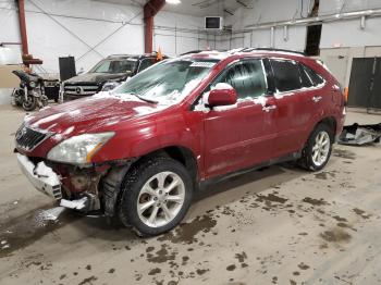  Salvage Lexus RX