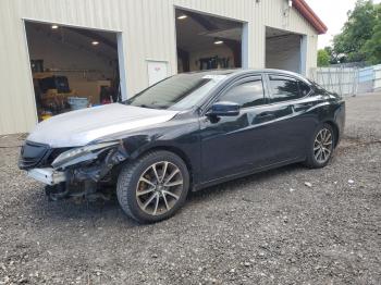  Salvage Acura TLX
