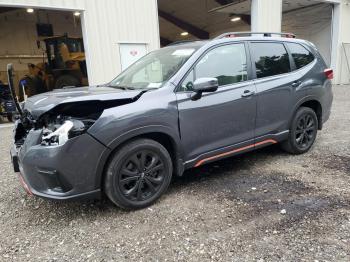  Salvage Subaru Forester