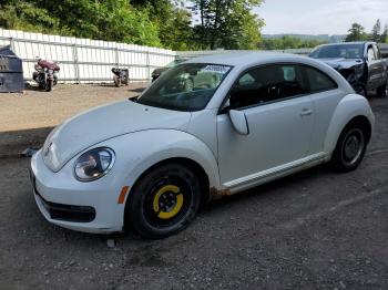  Salvage Volkswagen Beetle