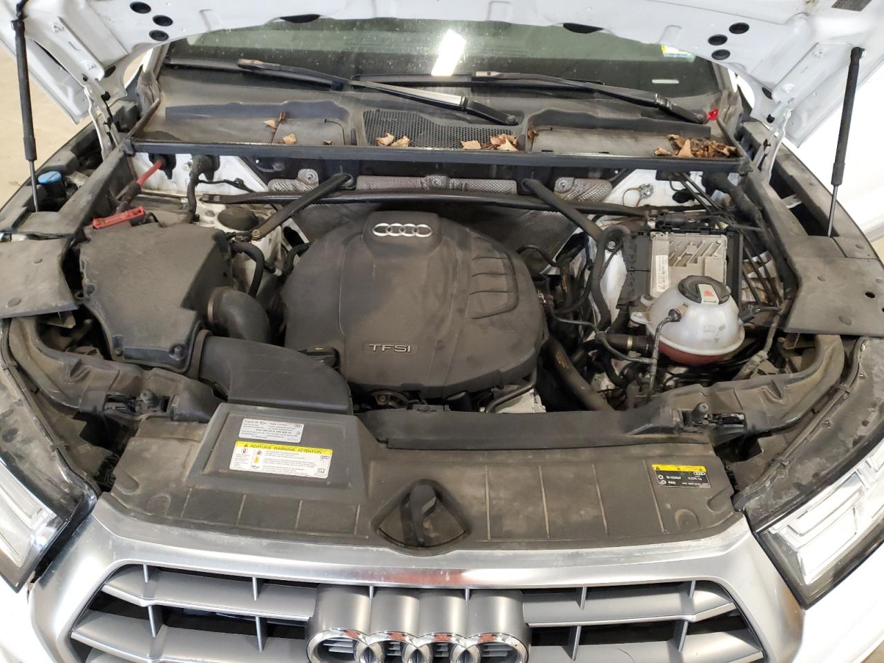 Audi Q5 Premium Plus Image 12