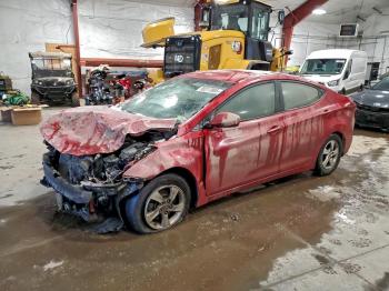  Salvage Hyundai ELANTRA