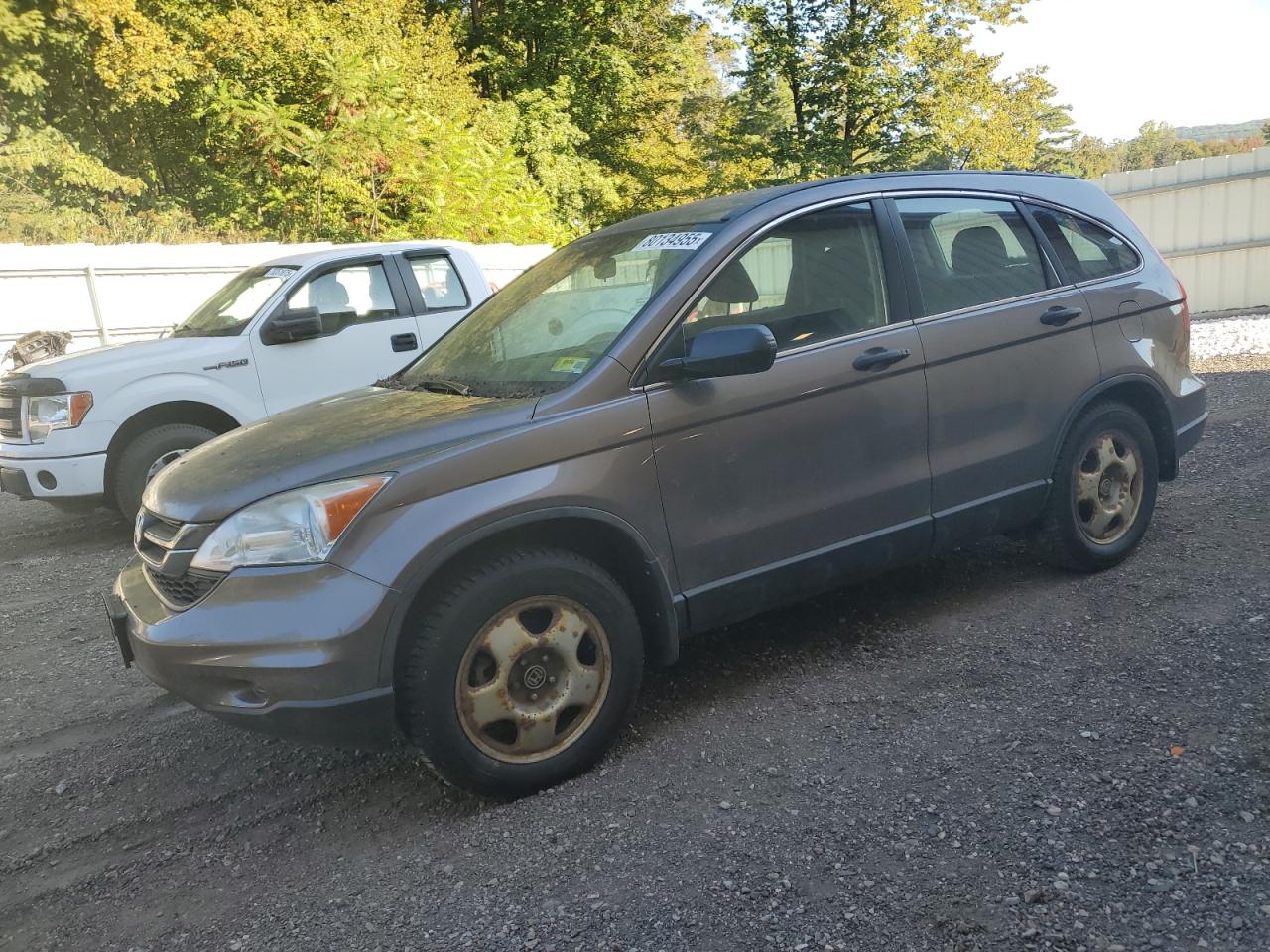 Honda Crv Lx Image 1