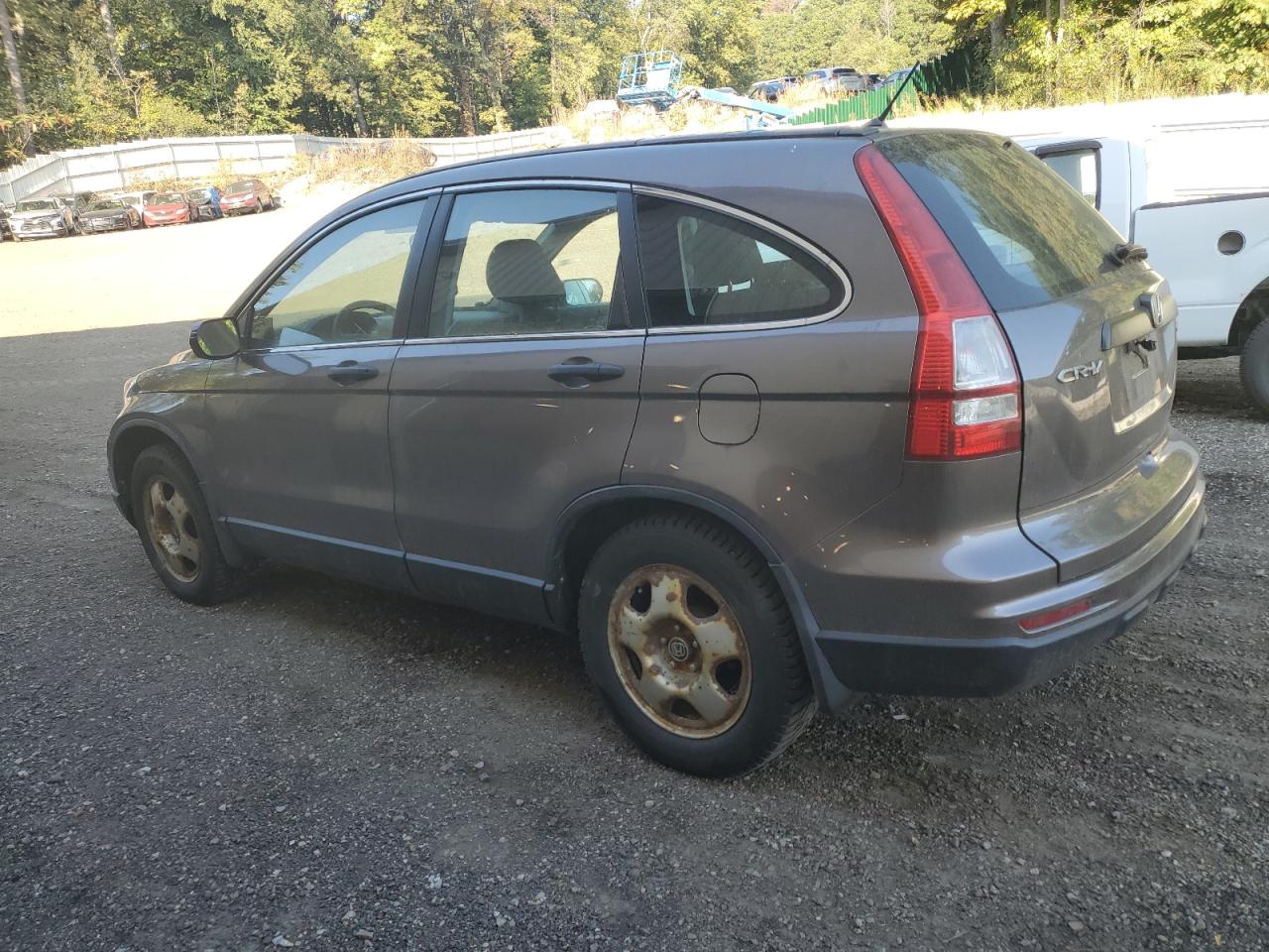 Honda Crv Lx Image 2