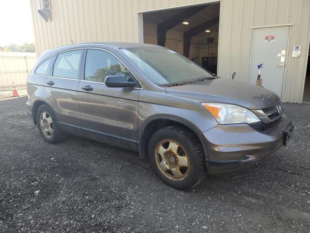 Honda Crv Lx Image 7