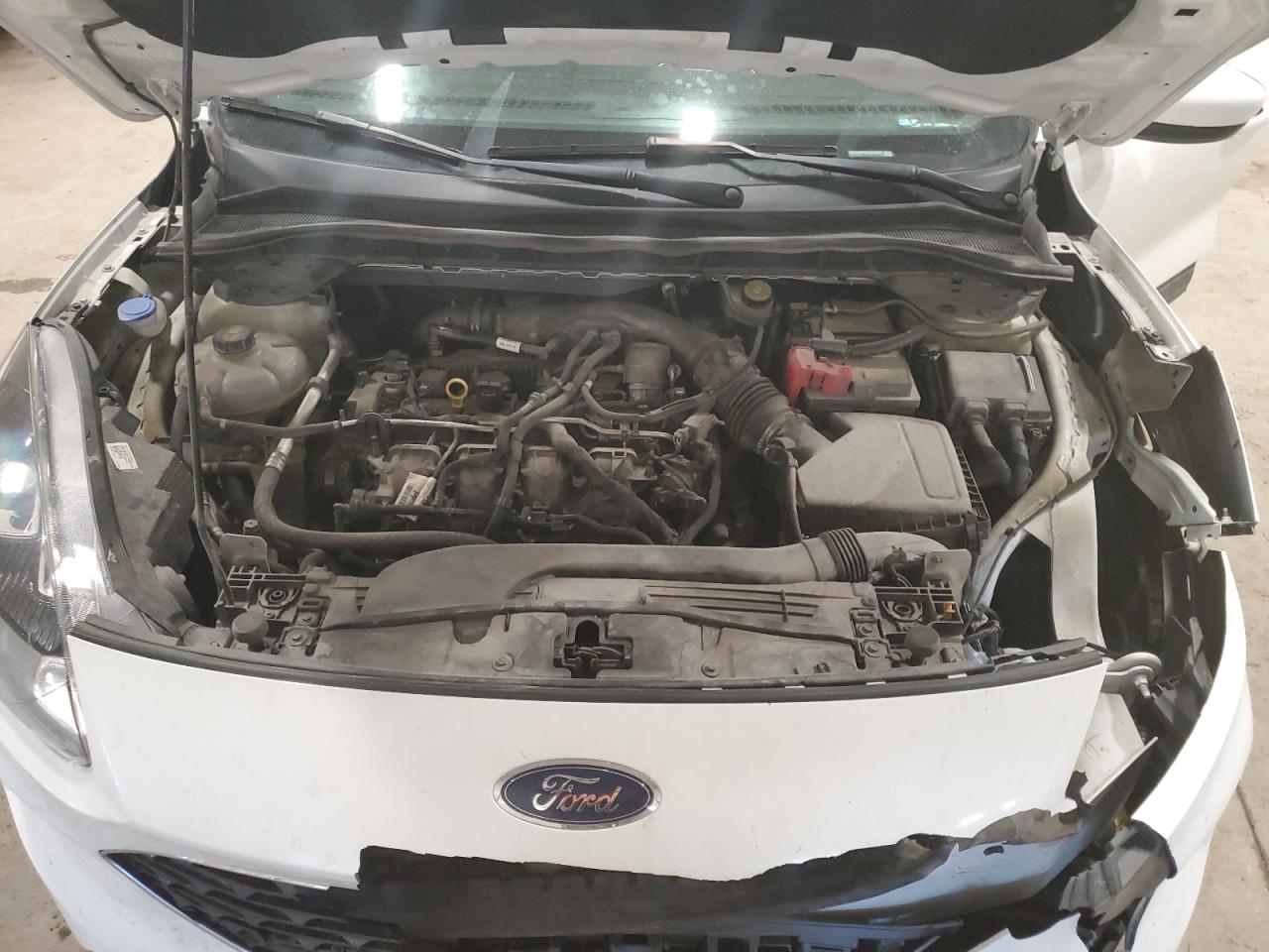 Ford Escape Sel Image 10